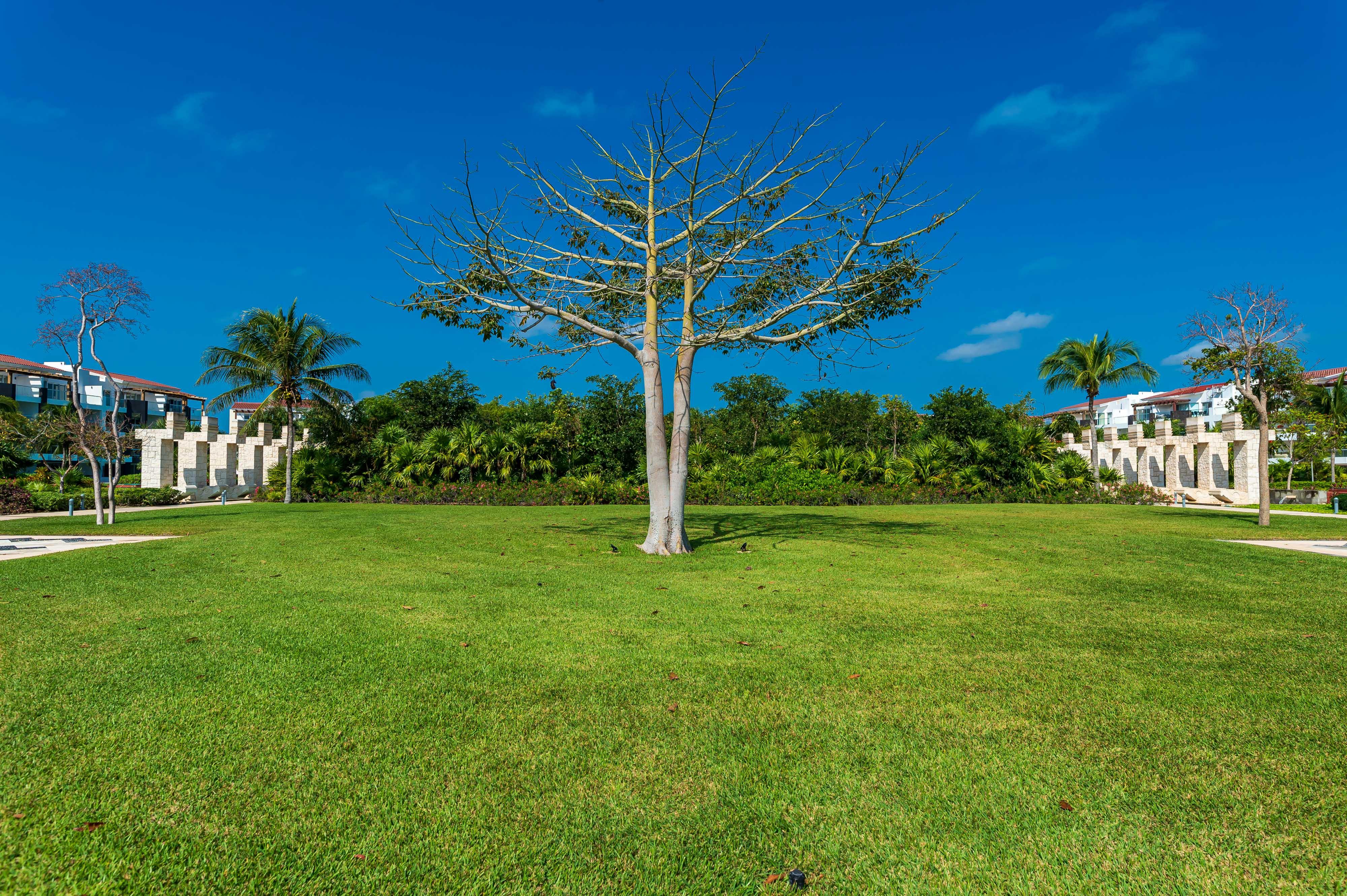 Mareazul Beach Front Resort פלאייה דל כרמן מראה חיצוני תמונה